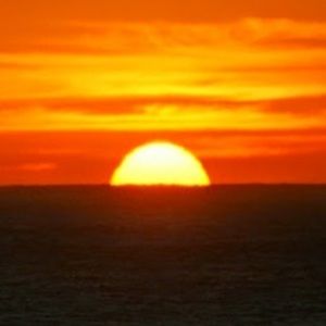 Meet your Posher, Blake